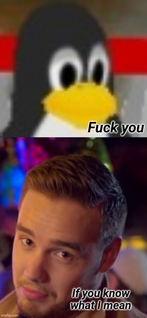 High Quality Fuck you if you I know what I mean Blank Meme Template