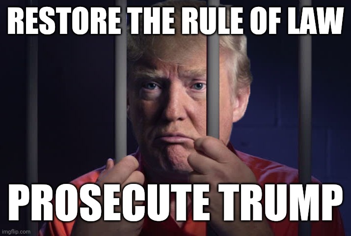 Trump Prison | RESTORE THE RULE OF LAW; PROSECUTE TRUMP | image tagged in tyrant,traitor,stupid criminals,law and order,who are we | made w/ Imgflip meme maker