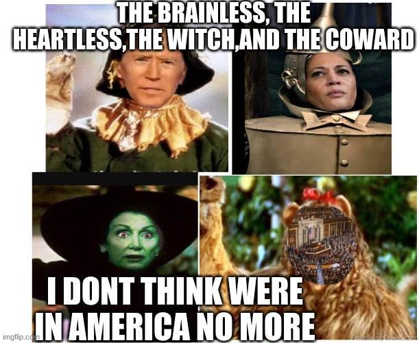 not in america no more | THE BRAINLESS, THE HEARTLESS,THE WITCH,AND THE COWARD; I DONT THINK WERE IN AMERICA NO MORE | image tagged in america,president,dumb,coward,joe biden,nancy pelosi | made w/ Imgflip meme maker