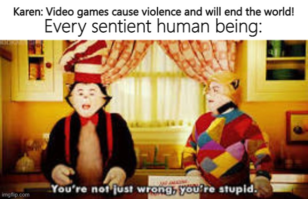No no, he's got a point | Karen: Video games cause violence and will end the world! Every sentient human being: | image tagged in your not just wrong your stupid,omg karen,smort | made w/ Imgflip meme maker