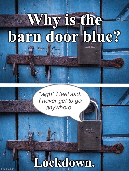 The Blues | Why is the barn door blue? *sigh* I feel sad. 
I never get to go 
anywhere... Lockdown. | image tagged in funny memes,bad jokes | made w/ Imgflip meme maker
