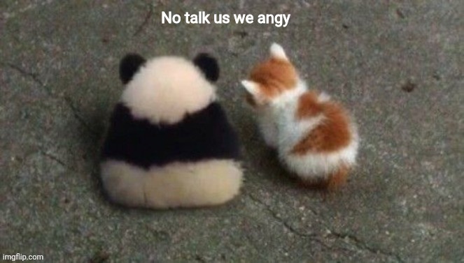 No talk us we angy | image tagged in no talk us we angy | made w/ Imgflip meme maker
