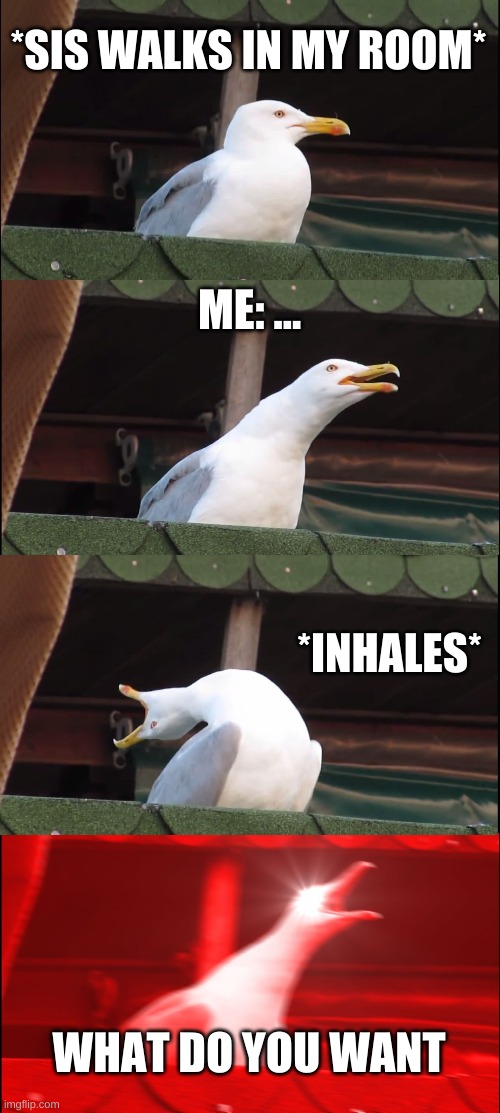 Inhaling Seagull Meme | *SIS WALKS IN MY ROOM*; ME: ... *INHALES*; WHAT DO YOU WANT | image tagged in memes,inhaling seagull,siblings | made w/ Imgflip meme maker
