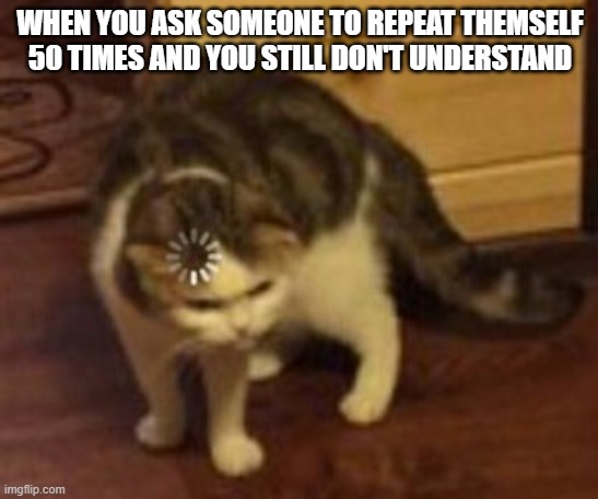 Loading cat | WHEN YOU ASK SOMEONE TO REPEAT THEMSELF 50 TIMES AND YOU STILL DON'T UNDERSTAND | image tagged in loading cat | made w/ Imgflip meme maker