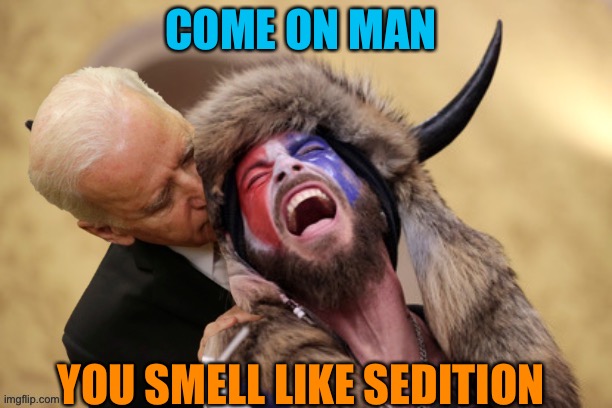 Sedition | COME ON MAN; YOU SMELL LIKE SEDITION | image tagged in joe biden,qanon,trump,smell,maga,trump supporters | made w/ Imgflip meme maker