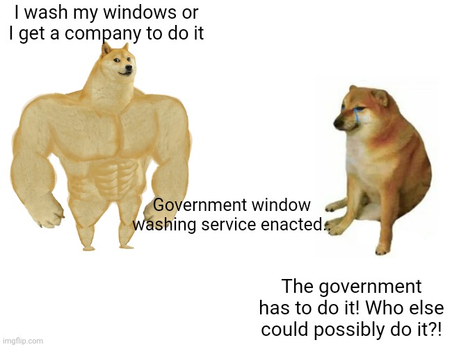 Buff Doge vs. Cheems Meme | I wash my windows or I get a company to do it The government has to do it! Who else could possibly do it?! Government window washing service | image tagged in memes,buff doge vs cheems | made w/ Imgflip meme maker