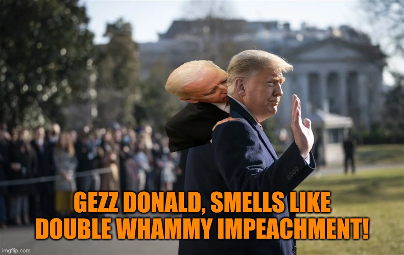 GEZZ DONALD, SMELLS LIKE DOUBLE WHAMMY IMPEACHMENT! | made w/ Imgflip meme maker