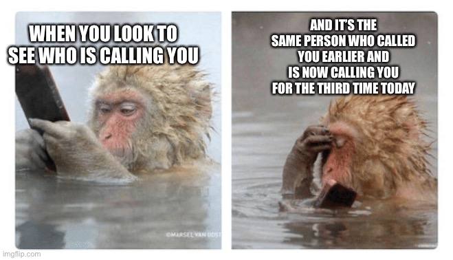 Same person calling | AND IT’S THE SAME PERSON WHO CALLED YOU EARLIER AND IS NOW CALLING YOU FOR THE THIRD TIME TODAY; WHEN YOU LOOK TO SEE WHO IS CALLING YOU | image tagged in monkey with phone | made w/ Imgflip meme maker