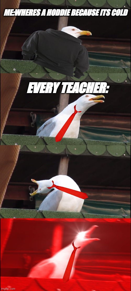 School Hoodie Meme | ME:WHERES A HODDIE BECAUSE ITS COLD; EVERY TEACHER: | image tagged in memes,inhaling seagull,school | made w/ Imgflip meme maker