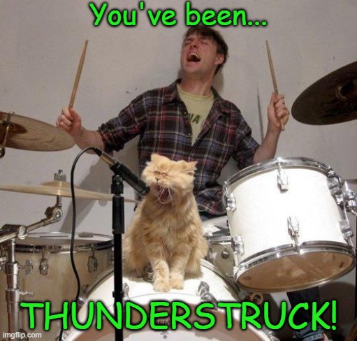 Singing Cat | You've been... THUNDERSTRUCK! | image tagged in singing cat,memes | made w/ Imgflip meme maker