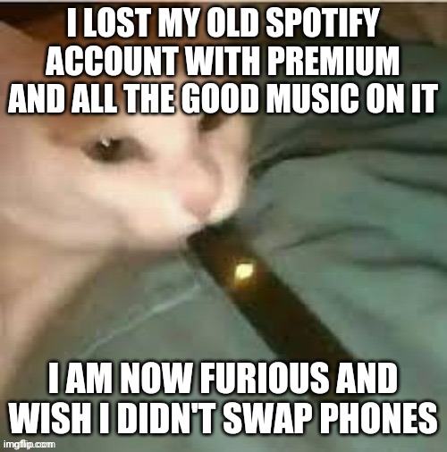 I LOST MY OLD SPOTIFY ACCOUNT WITH PREMIUM AND ALL THE GOOD MUSIC ON IT; I AM NOW FURIOUS AND WISH I DIDN'T SWAP PHONES | made w/ Imgflip meme maker