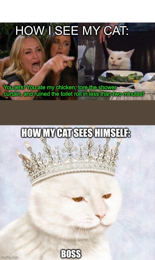 Truth | HOW I SEE MY CAT:; You jerk! You ate my chicken, tore the shower curtain, and ruined the toilet roll in less than two minutes! HOW MY CAT SEES HIMSELF:; BOSS | image tagged in memes,woman yelling at cat,cat,royal cat,pets,funny | made w/ Imgflip meme maker