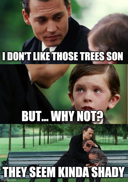 THE TREES ARE SUS | I DON'T LIKE THOSE TREES SON; BUT... WHY NOT? THEY SEEM KINDA SHADY | image tagged in memes,finding neverland,dad joke,eye roll | made w/ Imgflip meme maker