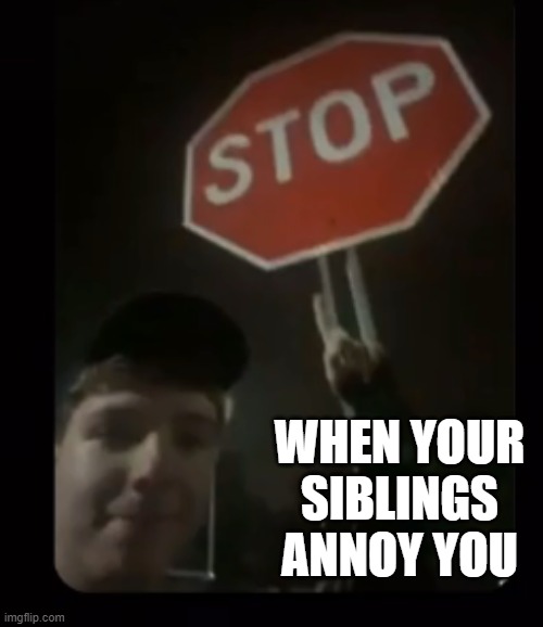 Karl Stop | WHEN YOUR SIBLINGS ANNOY YOU | image tagged in karl stop | made w/ Imgflip meme maker