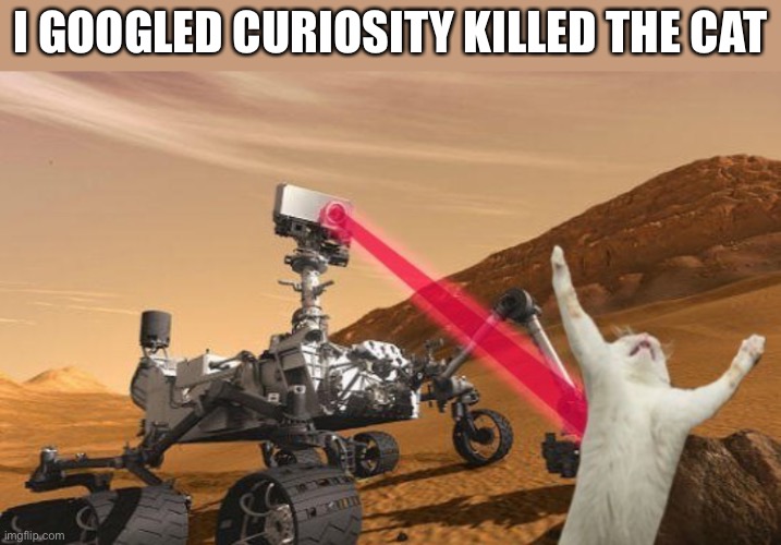 Well they are correct | I GOOGLED CURIOSITY KILLED THE CAT | image tagged in curiosity rover | made w/ Imgflip meme maker
