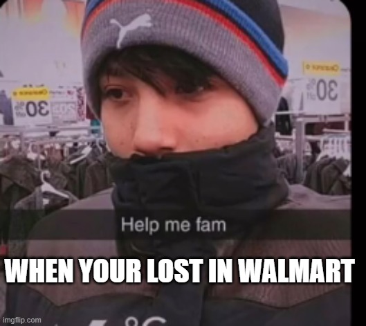 quackity | WHEN YOUR LOST IN WALMART | image tagged in quackity | made w/ Imgflip meme maker