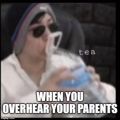 tea quackity | WHEN YOU OVERHEAR YOUR PARENTS | image tagged in tea quackity | made w/ Imgflip meme maker