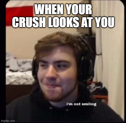 sapnap | WHEN YOUR CRUSH LOOKS AT YOU | image tagged in sapnap | made w/ Imgflip meme maker