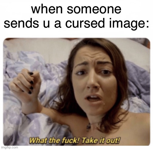 my life be like: | when someone sends u a cursed image: | image tagged in what the fuck take it out,porn,pornhub,memes,funny | made w/ Imgflip meme maker