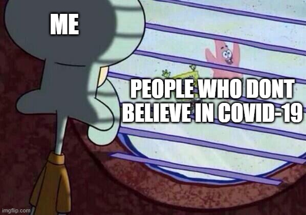 CORONAVIRUS | ME; PEOPLE WHO DONT BELIEVE IN COVID-19 | image tagged in squidward window | made w/ Imgflip meme maker