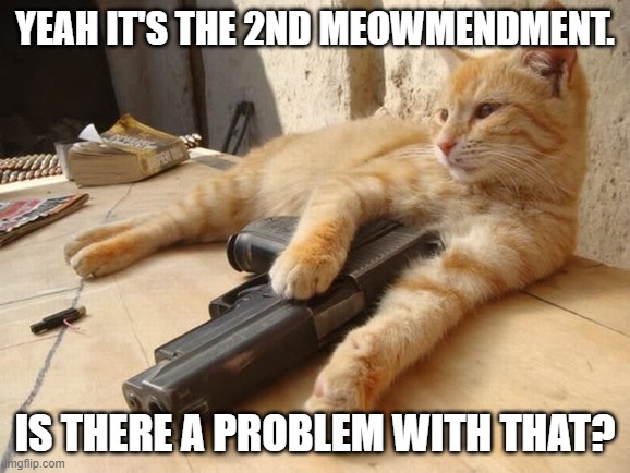 2nd Meowmendment | YEAH IT'S THE 2ND MEOWMENDMENT. IS THERE A PROBLEM WITH THAT? | image tagged in cat | made w/ Imgflip meme maker