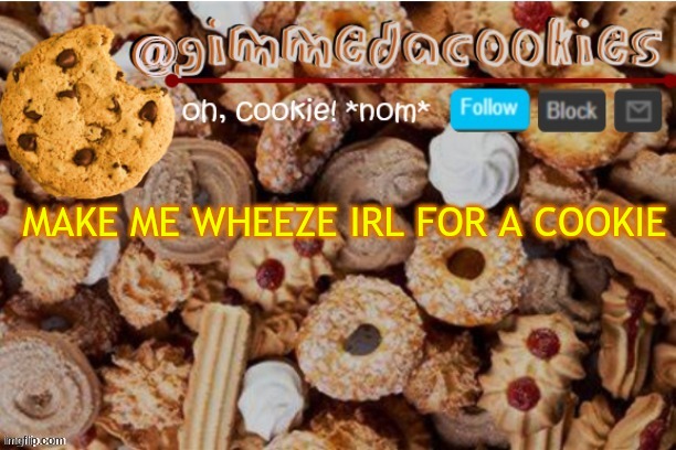 y e s | MAKE ME WHEEZE IRL FOR A COOKIE | image tagged in template | made w/ Imgflip meme maker