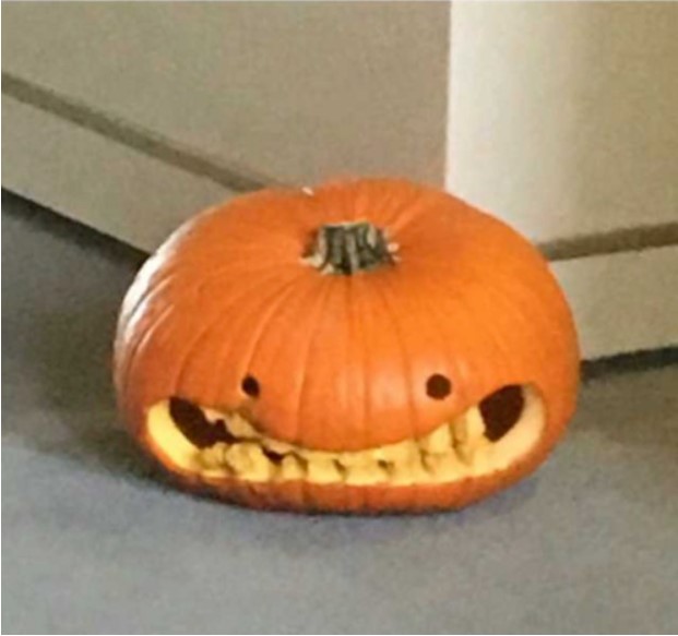 Regretful pumpkin Blank Meme Template