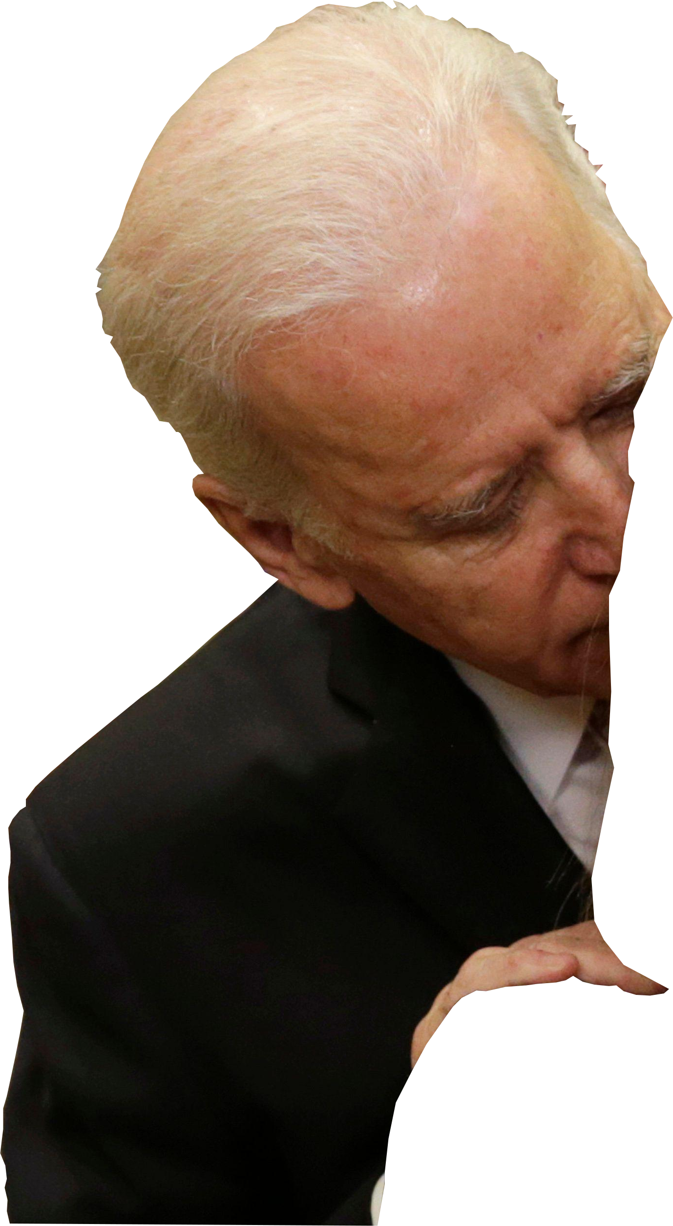 Biden Sniffing Blank Meme Template
