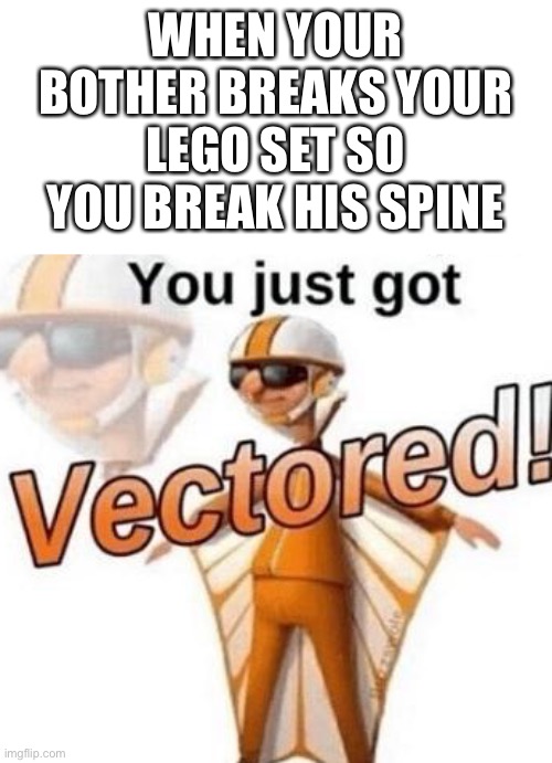 VECTOR!!! | WHEN YOUR BOTHER BREAKS YOUR LEGO SET SO YOU BREAK HIS SPINE | image tagged in you just got vectored | made w/ Imgflip meme maker