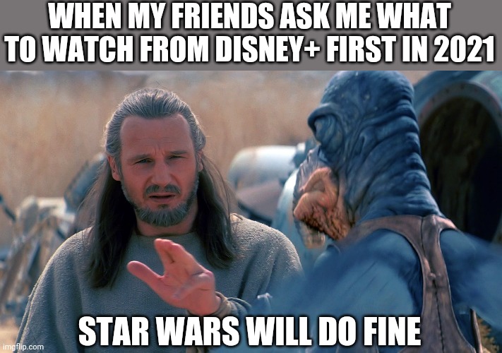 Credits Will Do Fine | WHEN MY FRIENDS ASK ME WHAT TO WATCH FROM DISNEY+ FIRST IN 2021; STAR WARS WILL DO FINE | image tagged in credits will do fine | made w/ Imgflip meme maker