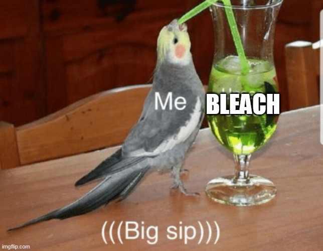 BLEACH | image tagged in unsee juice | made w/ Imgflip meme maker