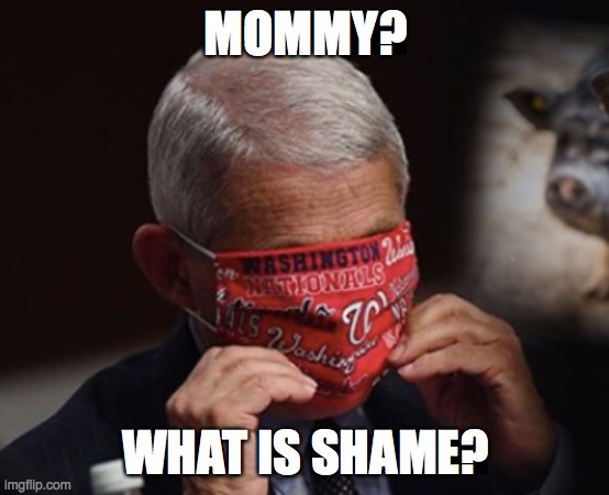 fauci | MOMMY? WHAT IS SHAME? | image tagged in lies | made w/ Imgflip meme maker