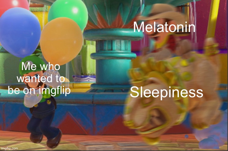 Mario riding Jixi | Melatonin; Me who wanted to be on imgflip; Sleepiness | image tagged in mario riding jixi | made w/ Imgflip meme maker