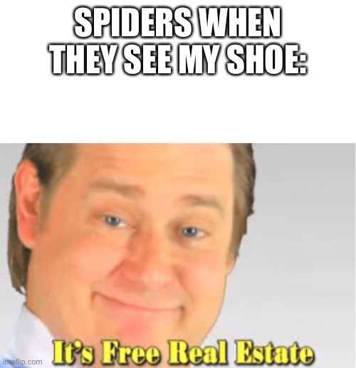 I hate leaving my shoes outside |  SPIDERS WHEN THEY SEE MY SHOE: | image tagged in it's free real estate,memes,spiders,shoes,oh wow are you actually reading these tags,stop reading the tags | made w/ Imgflip meme maker