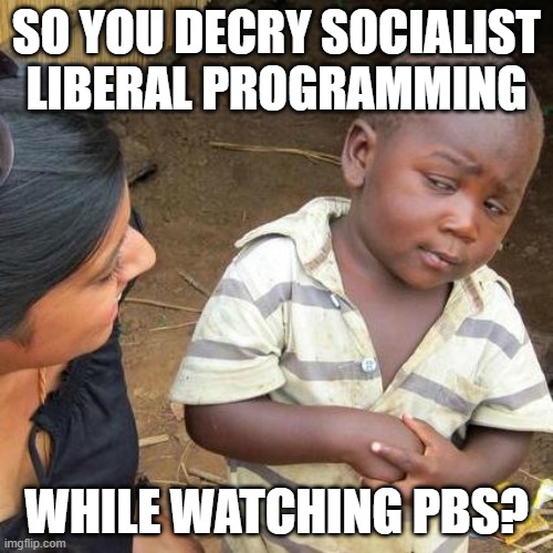 Wut | SO YOU DECRY SOCIALIST LIBERAL PROGRAMMING; WHILE WATCHING PBS? | image tagged in memes,third world skeptical kid | made w/ Imgflip meme maker