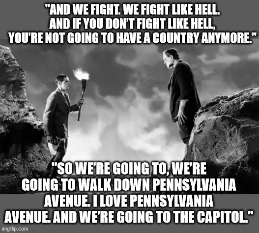 Trump Tells Supporters to Storm the Capitol | "AND WE FIGHT. WE FIGHT LIKE HELL. AND IF YOU DON’T FIGHT LIKE HELL, YOU’RE NOT GOING TO HAVE A COUNTRY ANYMORE."; "SO WE’RE GOING TO, WE’RE GOING TO WALK DOWN PENNSYLVANIA AVENUE. I LOVE PENNSYLVANIA AVENUE. AND WE’RE GOING TO THE CAPITOL." | image tagged in president trump,riots,stop the steal,election 2020,maga,hypocrisy | made w/ Imgflip meme maker