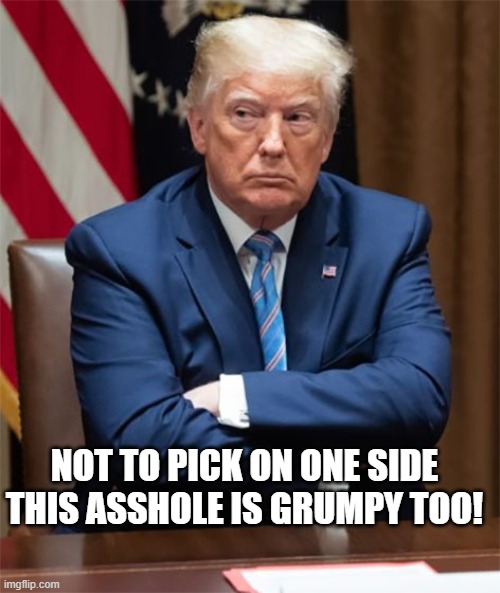 Grumpy Trump | NOT TO PICK ON ONE SIDE THIS ASSHOLE IS GRUMPY TOO! | image tagged in grumpy trump | made w/ Imgflip meme maker