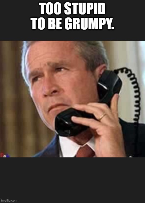 At least we don't have this idiot anymore. | TOO STUPID TO BE GRUMPY. | image tagged in hello george bush | made w/ Imgflip meme maker