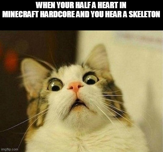 Scared Cat Meme | WHEN YOUR HALF A HEART IN MINECRAFT HARDCORE AND YOU HEAR A SKELETON | image tagged in memes,scared cat,gaming,minecraft | made w/ Imgflip meme maker