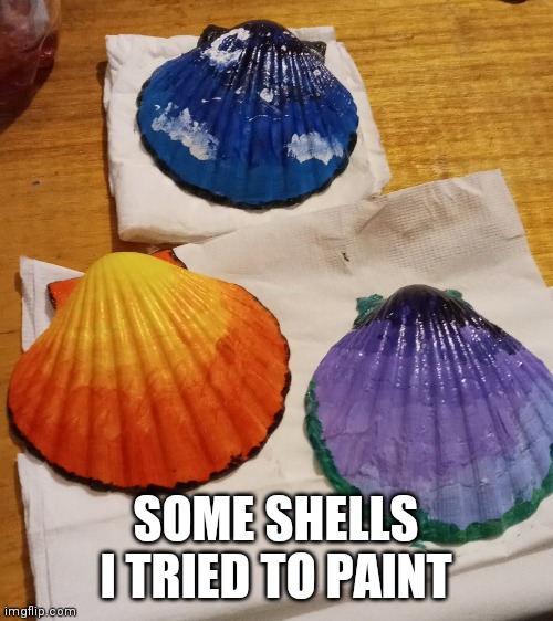 Hi im new here | SOME SHELLS I TRIED TO PAINT | image tagged in third world success kid | made w/ Imgflip meme maker