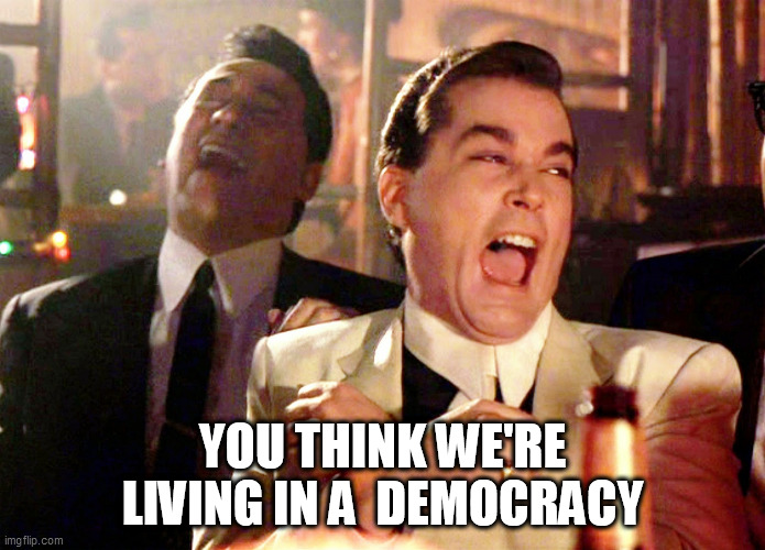 Good Fellas Hilarious Meme |  YOU THINK WE'RE LIVING IN A  DEMOCRACY | image tagged in memes,good fellas hilarious | made w/ Imgflip meme maker