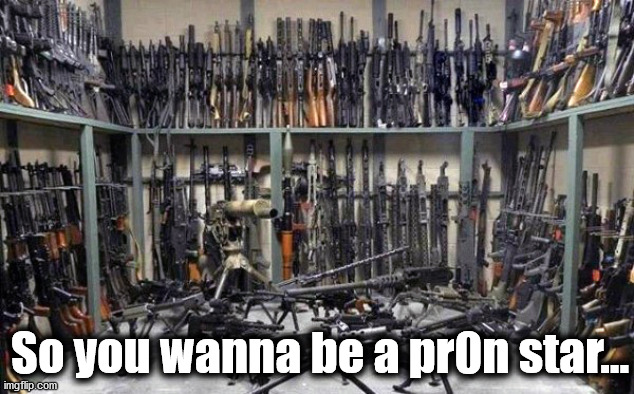 Gun Pr0n - So You Wanna Be a Pr0n Star? |  So you wanna be a pr0n star... | image tagged in guns,gun porn,gun room,gun vault,gun collection,gun pr0n | made w/ Imgflip meme maker
