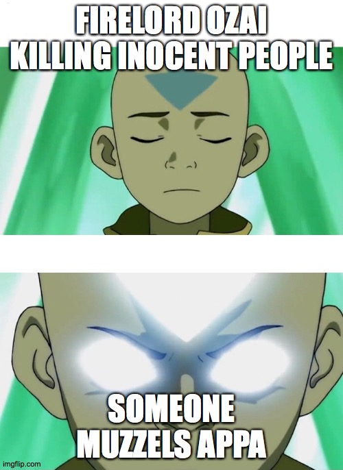 Aang Going Avatar State | FIRELORD OZAI KILLING INOCENT PEOPLE; SOMEONE MUZZELS APPA | image tagged in aang going avatar state | made w/ Imgflip meme maker