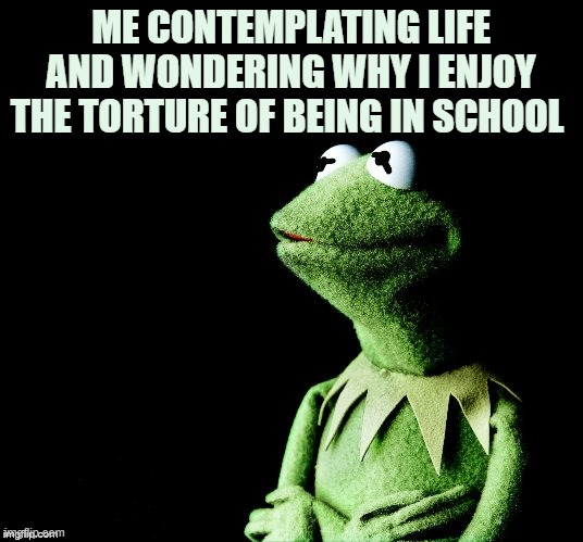 Meme |  ME CONTEMPLATING LIFE AND WONDERING WHY I ENJOY THE TORTURE OF BEING IN SCHOOL | image tagged in contemplative kermit | made w/ Imgflip meme maker