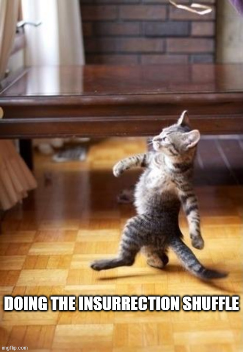 Cool Cat Stroll | DOING THE INSURRECTION SHUFFLE | image tagged in memes,cool cat stroll | made w/ Imgflip meme maker