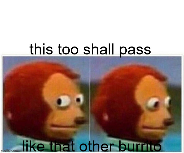 Monkey Puppet | this too shall pass; like that other burrito | image tagged in memes,monkey puppet | made w/ Imgflip meme maker