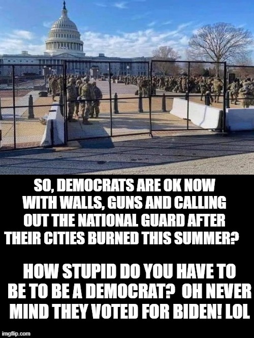 How Stupid Do You Have To Be To Be A Democrat? | SO, DEMOCRATS ARE OK NOW WITH WALLS, GUNS AND CALLING OUT THE NATIONAL GUARD AFTER THEIR CITIES BURNED THIS SUMMER? HOW STUPID DO YOU HAVE TO BE TO BE A DEMOCRAT?  OH NEVER MIND THEY VOTED FOR BIDEN! LOL | image tagged in stupid liberals,biden | made w/ Imgflip meme maker