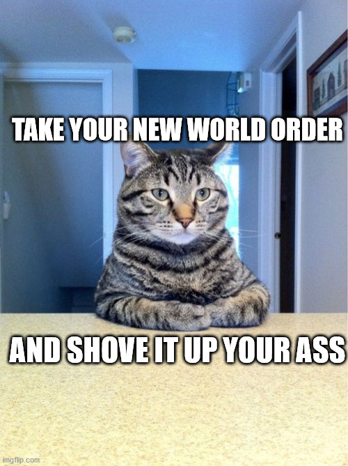 Take A Seat Cat | TAKE YOUR NEW WORLD ORDER; AND SHOVE IT UP YOUR ASS | image tagged in memes,take a seat cat | made w/ Imgflip meme maker