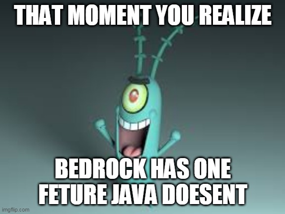 hehe | THAT MOMENT YOU REALIZE; BEDROCK HAS ONE FETURE JAVA DOESENT | image tagged in hehe | made w/ Imgflip meme maker