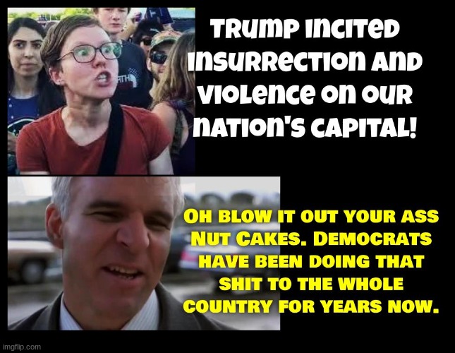 Democrats. Always accusing president Trump of what they themselves are guilty of! | image tagged in democrats,terrorists,sedition,treason,politics,political | made w/ Imgflip meme maker